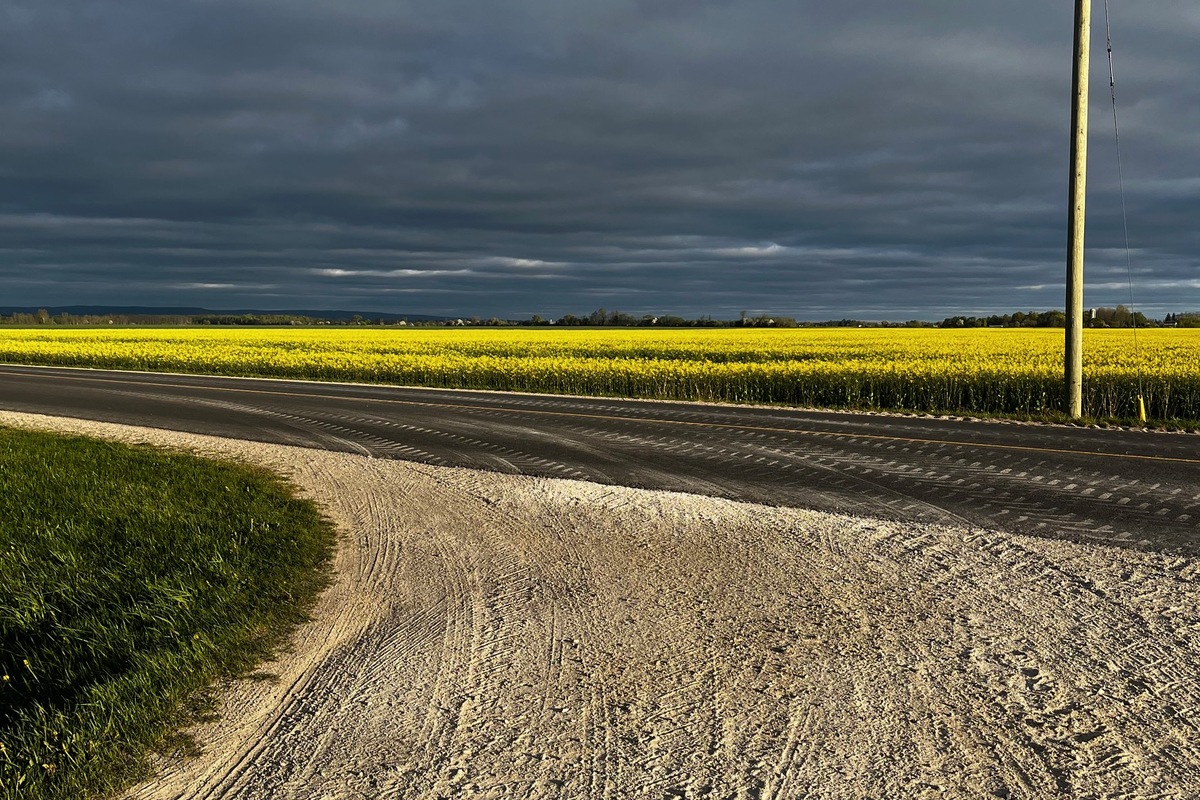 Safe roads and infrastructure